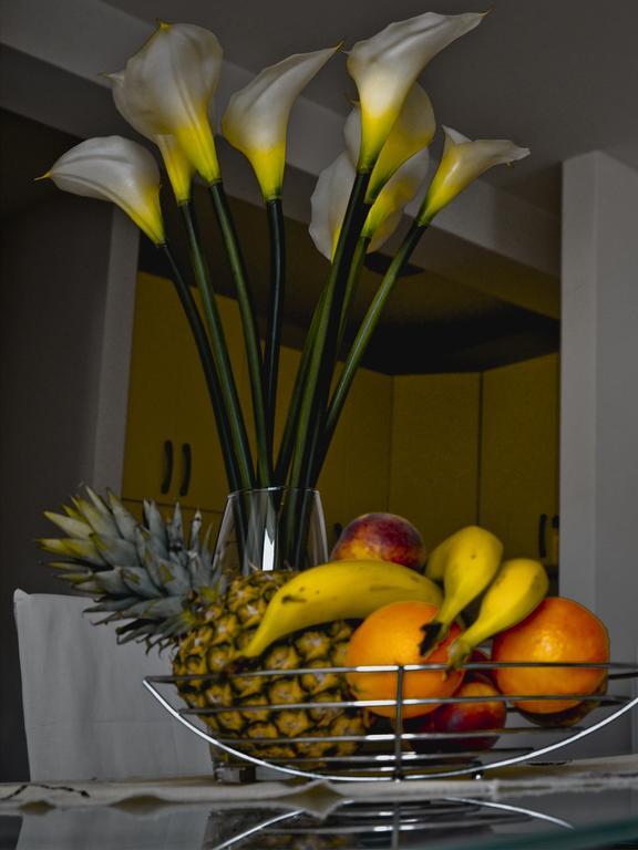 Apartment Roma Dubrovnik Room photo